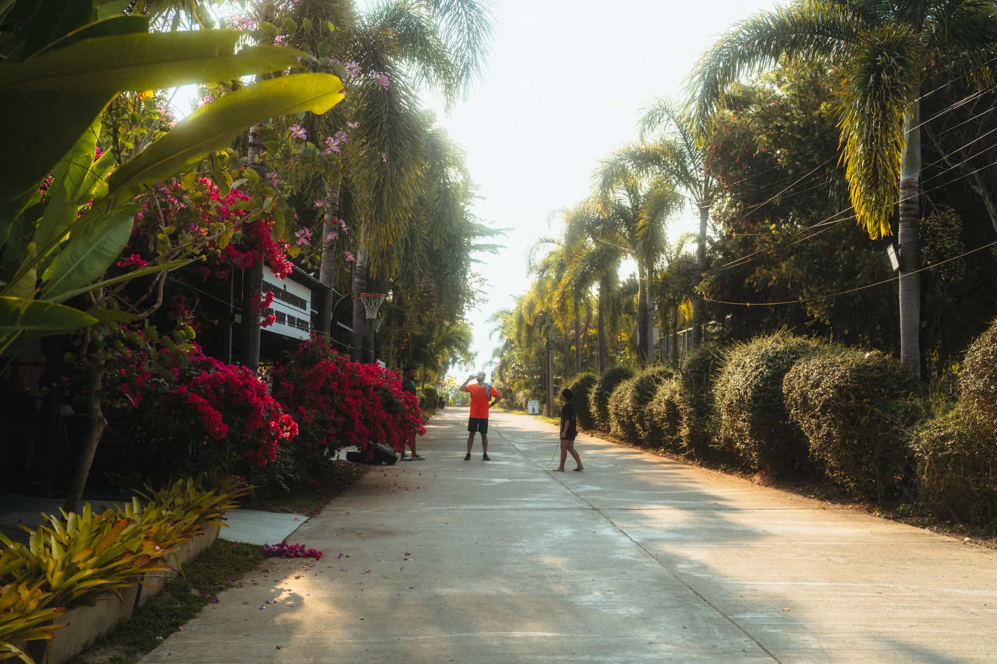 Muay Thaï dans la vallée de Mae Sa