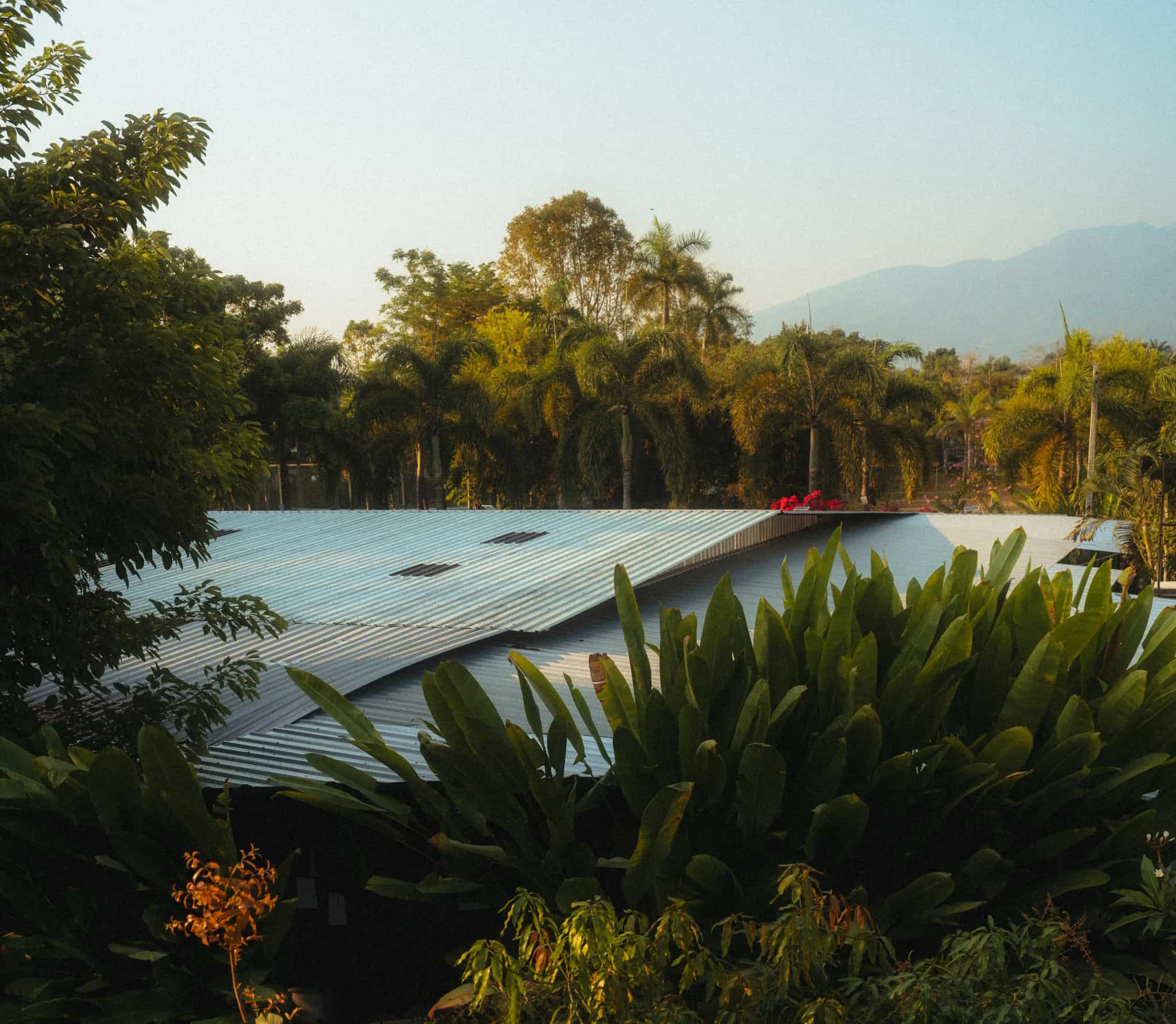 Fitness sous les tropiques